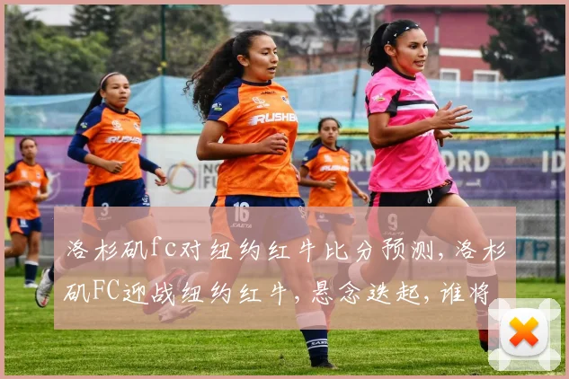 洛杉矶fc对纽约红牛比分预测,洛杉矶FC迎战纽约红牛,悬念迭起,谁将问鼎