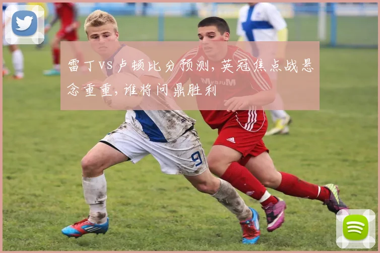 雷丁vs卢顿比分预测,英冠焦点战悬念重重,谁将问鼎胜利